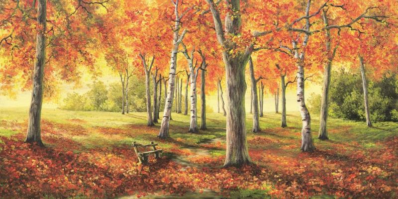 Schönheit der Natur, eingefangen mit den Grundfarben