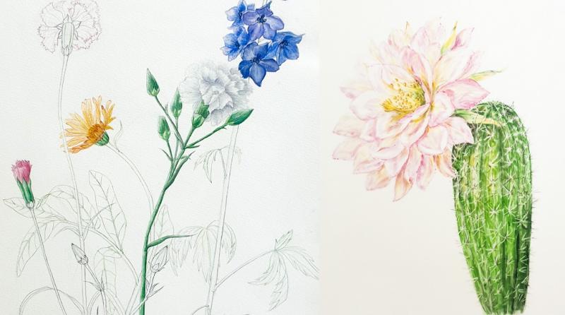 Botanisches Aquarell